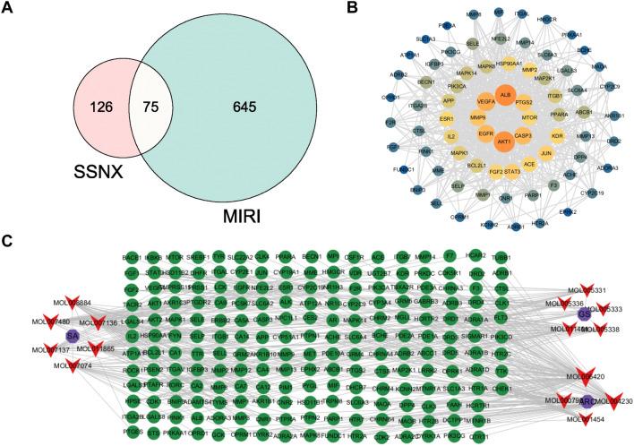 https://cdn.ncbi.nlm.nih.gov/pmc/blobs/bbb8/10510173/f48051a8126d/13020_2023_810_Fig4_HTML.jpg