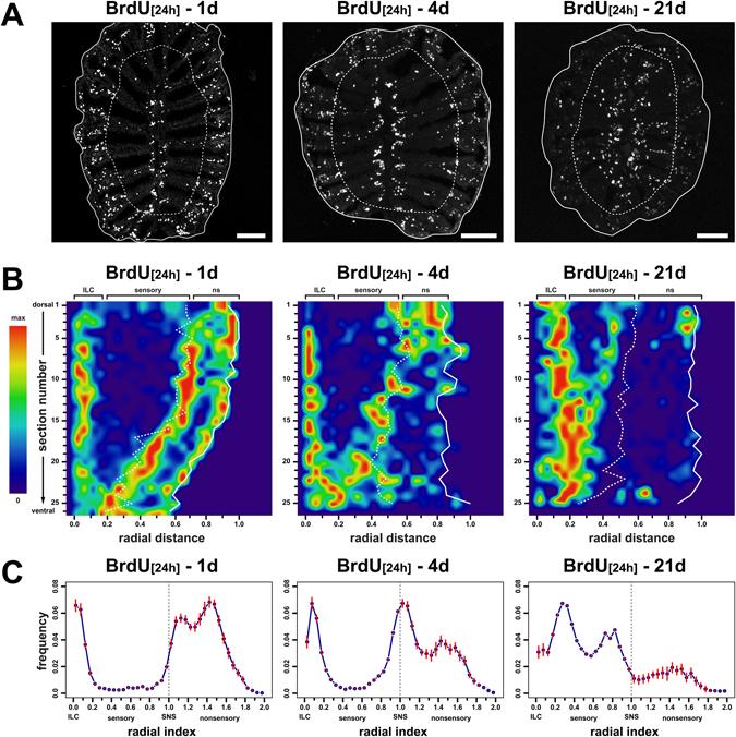 https://cdn.ncbi.nlm.nih.gov/pmc/blobs/bbba/5514040/e84914e356e1/41598_2017_6041_Fig2_HTML.jpg
