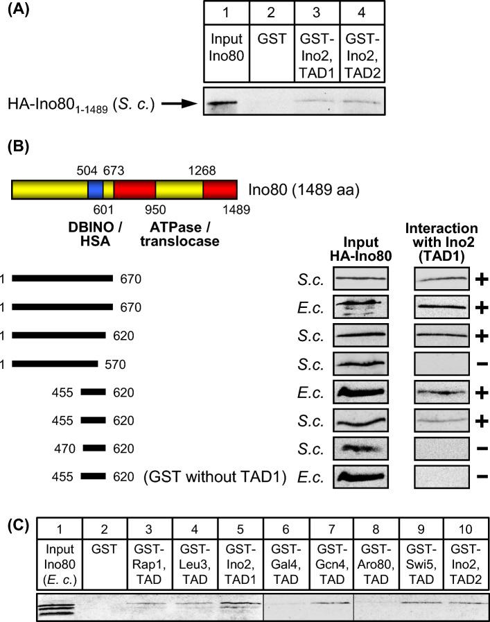 https://cdn.ncbi.nlm.nih.gov/pmc/blobs/bbbb/11377671/1c08801d8ea3/294_2024_1300_Fig8_HTML.jpg