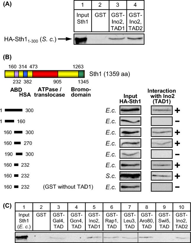https://cdn.ncbi.nlm.nih.gov/pmc/blobs/bbbb/11377671/fcd336a7da34/294_2024_1300_Fig5_HTML.jpg