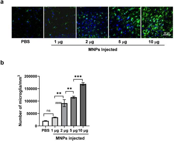 https://cdn.ncbi.nlm.nih.gov/pmc/blobs/bbbb/12238392/2646d102d0bc/41598_2025_10441_Fig3_HTML.jpg