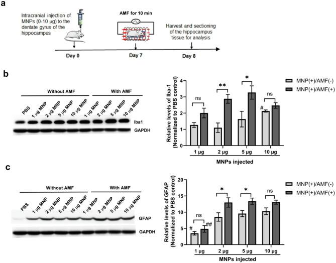 https://cdn.ncbi.nlm.nih.gov/pmc/blobs/bbbb/12238392/3af102c169de/41598_2025_10441_Fig2_HTML.jpg