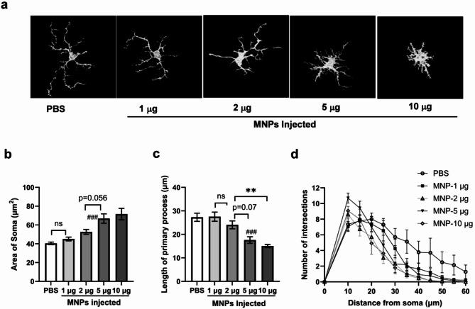 https://cdn.ncbi.nlm.nih.gov/pmc/blobs/bbbb/12238392/407d7a602a34/41598_2025_10441_Fig4_HTML.jpg