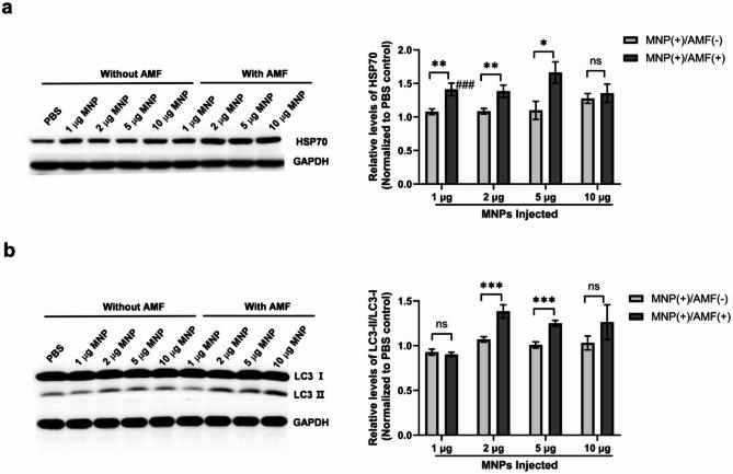 https://cdn.ncbi.nlm.nih.gov/pmc/blobs/bbbb/12238392/8801a060c8c2/41598_2025_10441_Fig5_HTML.jpg
