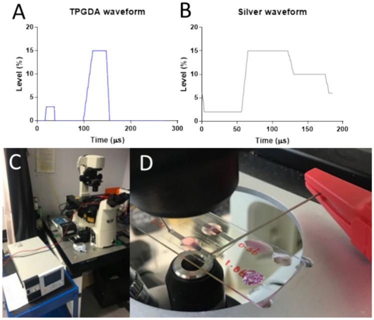 https://cdn.ncbi.nlm.nih.gov/pmc/blobs/bbbd/11383952/85ed4d207a77/41598_2024_71236_Fig2_HTML.jpg