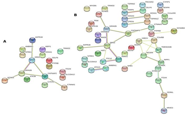 https://cdn.ncbi.nlm.nih.gov/pmc/blobs/bbbe/8119484/5b2cf8271d7e/41598_2021_89798_Fig3_HTML.jpg