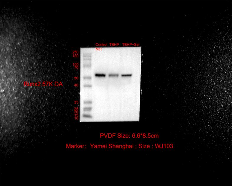 https://cdn.ncbi.nlm.nih.gov/pmc/blobs/bbc4/10594567/30cd2c31d90c/mmcfigs4.jpg