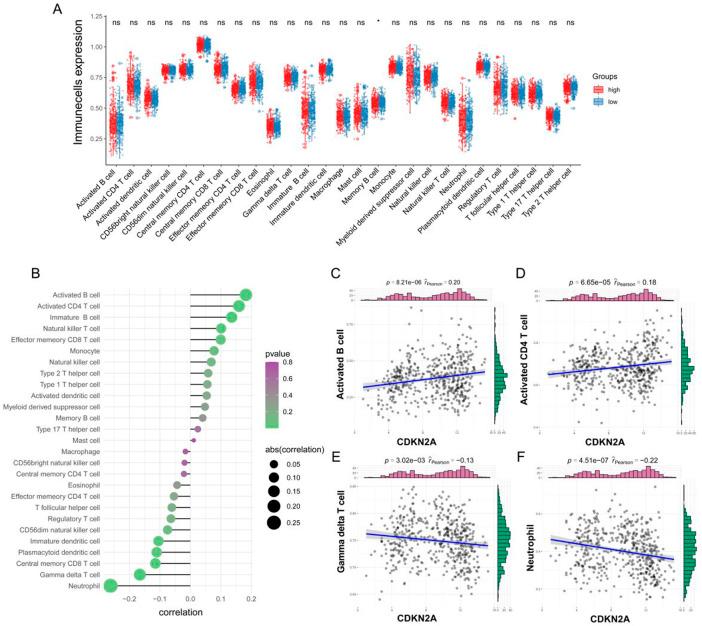 https://cdn.ncbi.nlm.nih.gov/pmc/blobs/bbc5/9868476/5032ab931453/fgene-13-1036408-g003.jpg