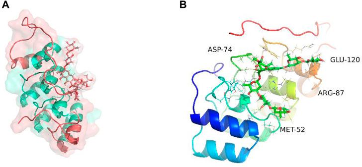 https://cdn.ncbi.nlm.nih.gov/pmc/blobs/bbc5/9868476/7f1c9f746c81/fgene-13-1036408-g008.jpg