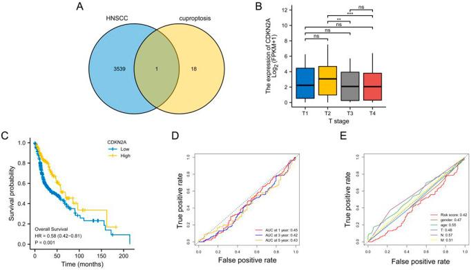 https://cdn.ncbi.nlm.nih.gov/pmc/blobs/bbc5/9868476/c653a8584a6c/fgene-13-1036408-g001.jpg