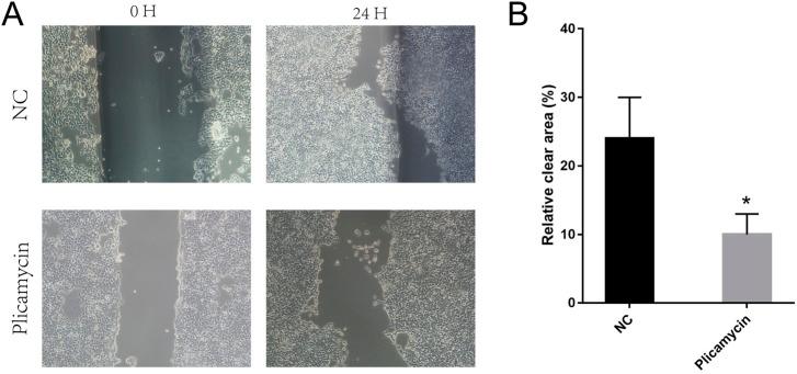https://cdn.ncbi.nlm.nih.gov/pmc/blobs/bbc5/9868476/e55bf96bbaa5/fgene-13-1036408-g010.jpg