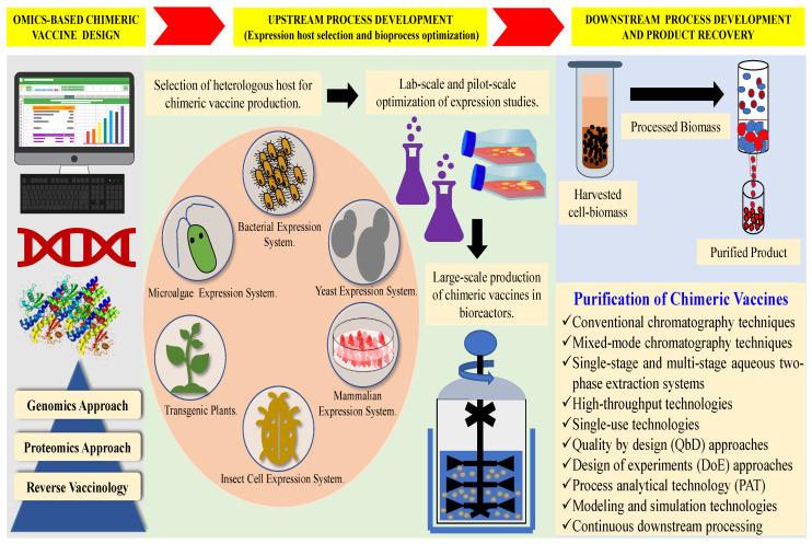 https://cdn.ncbi.nlm.nih.gov/pmc/blobs/bbc6/10747103/32346881ed3c/vaccines-11-01828-g002.jpg