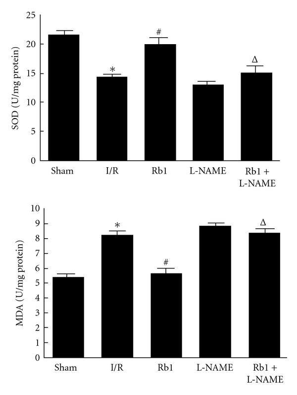 https://cdn.ncbi.nlm.nih.gov/pmc/blobs/bbc6/3196378/171391c26c6b/JBB2011-767930.003.jpg