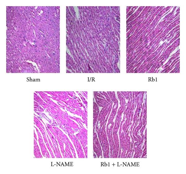 https://cdn.ncbi.nlm.nih.gov/pmc/blobs/bbc6/3196378/251825eef05f/JBB2011-767930.006.jpg