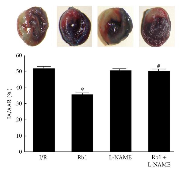 https://cdn.ncbi.nlm.nih.gov/pmc/blobs/bbc6/3196378/e80f61e44b9a/JBB2011-767930.001.jpg