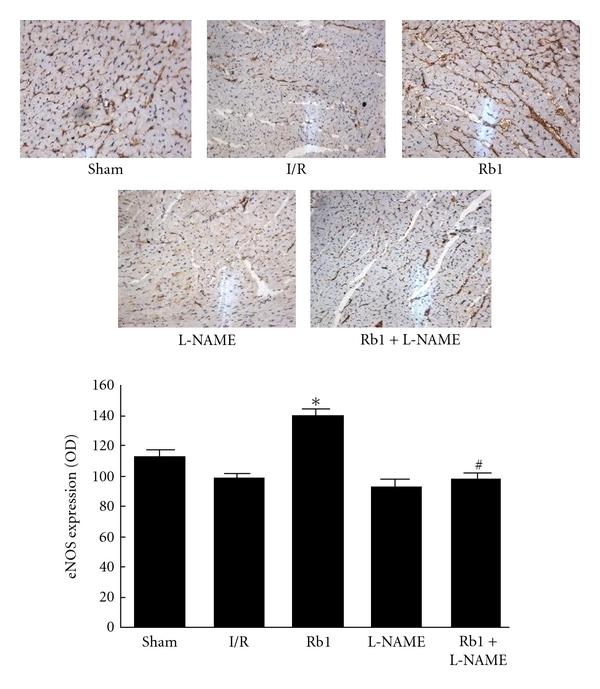 https://cdn.ncbi.nlm.nih.gov/pmc/blobs/bbc6/3196378/ed3c5494e342/JBB2011-767930.005.jpg