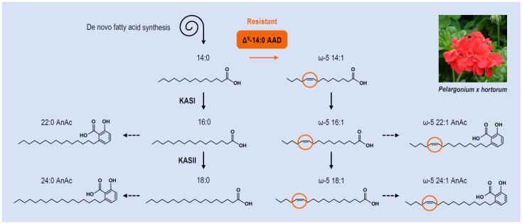 https://cdn.ncbi.nlm.nih.gov/pmc/blobs/bbc7/8002970/27d3a0151ef9/cells-10-00674-g004.jpg