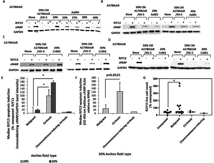 https://cdn.ncbi.nlm.nih.gov/pmc/blobs/bbc8/10955424/304c2ff3b15f/gr1.jpg
