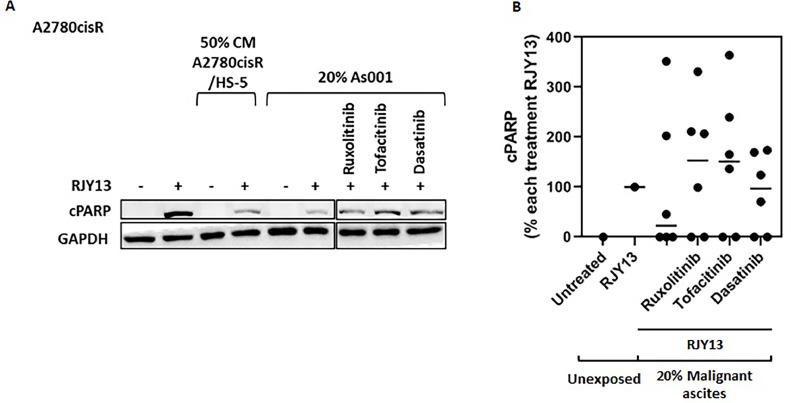 https://cdn.ncbi.nlm.nih.gov/pmc/blobs/bbc8/10955424/968bef735b05/gr3.jpg