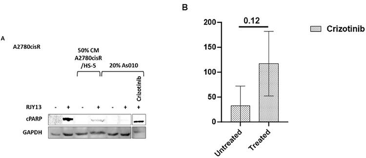 https://cdn.ncbi.nlm.nih.gov/pmc/blobs/bbc8/10955424/fd51f1b8998b/gr4.jpg