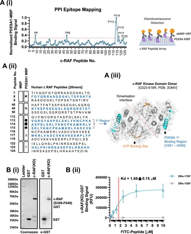 https://cdn.ncbi.nlm.nih.gov/pmc/blobs/bbc8/11026450/1ca158908440/41598_2024_59451_Fig1_HTML.jpg