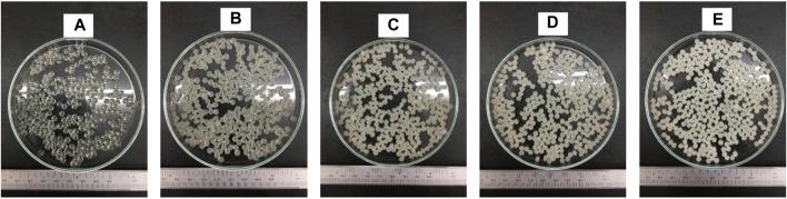 https://cdn.ncbi.nlm.nih.gov/pmc/blobs/bbc9/8585738/5f54c7505936/fbioe-09-757176-g005.jpg