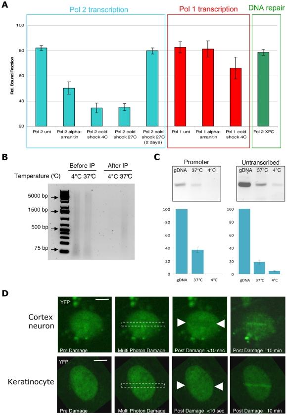 https://cdn.ncbi.nlm.nih.gov/pmc/blobs/bbca/2754661/d38d46721742/pbio.1000220.g003.jpg