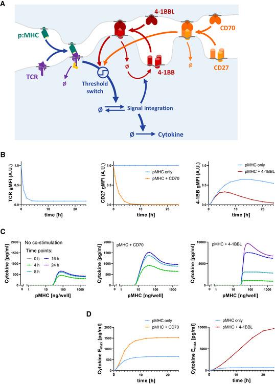 https://cdn.ncbi.nlm.nih.gov/pmc/blobs/bbce/8607805/30d186ffc3fc/MSB-17-e10560-g002.jpg