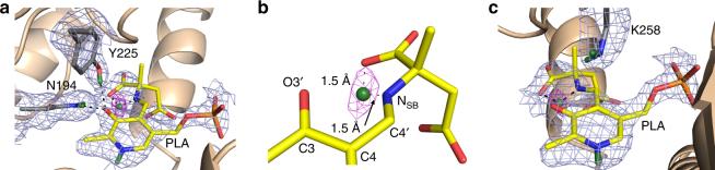 https://cdn.ncbi.nlm.nih.gov/pmc/blobs/bbcf/5643538/9b59f135f165/41467_2017_1060_Fig3_HTML.jpg