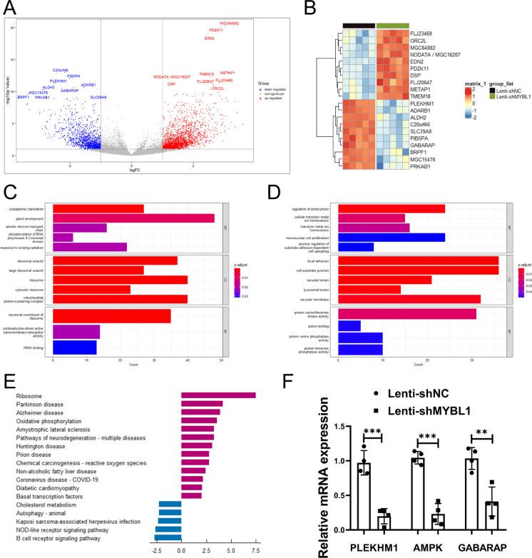 https://cdn.ncbi.nlm.nih.gov/pmc/blobs/bbd1/11128406/2123ccc6d02b/10565_2024_9873_Fig4_HTML.jpg