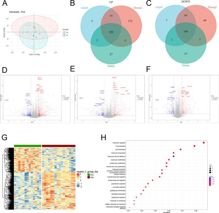 https://cdn.ncbi.nlm.nih.gov/pmc/blobs/bbd1/11128406/9557846a6569/10565_2024_9873_Fig1_HTML.jpg