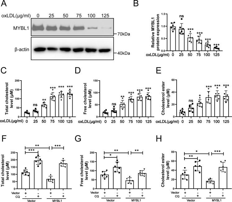 https://cdn.ncbi.nlm.nih.gov/pmc/blobs/bbd1/11128406/de84b05ec70f/10565_2024_9873_Fig7_HTML.jpg
