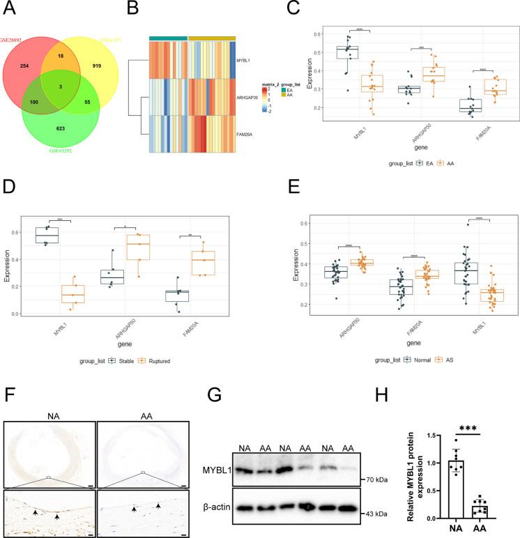 https://cdn.ncbi.nlm.nih.gov/pmc/blobs/bbd1/11128406/f65e850509c5/10565_2024_9873_Fig2_HTML.jpg