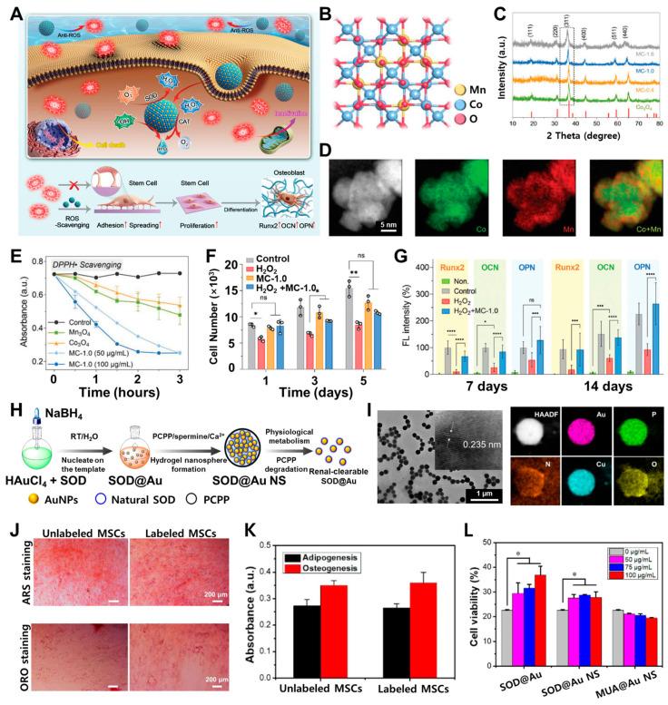 https://cdn.ncbi.nlm.nih.gov/pmc/blobs/bbd1/11352443/48df71ce0df9/biosensors-14-00407-g003.jpg