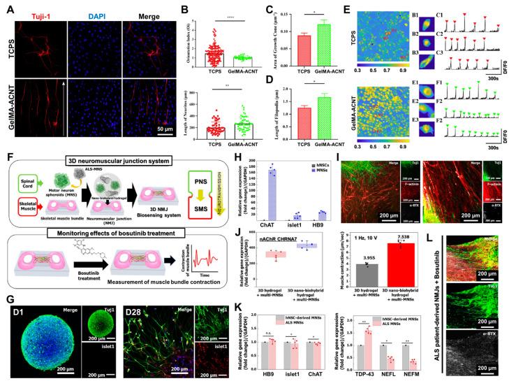 https://cdn.ncbi.nlm.nih.gov/pmc/blobs/bbd1/11352443/5ae761455a88/biosensors-14-00407-g005.jpg