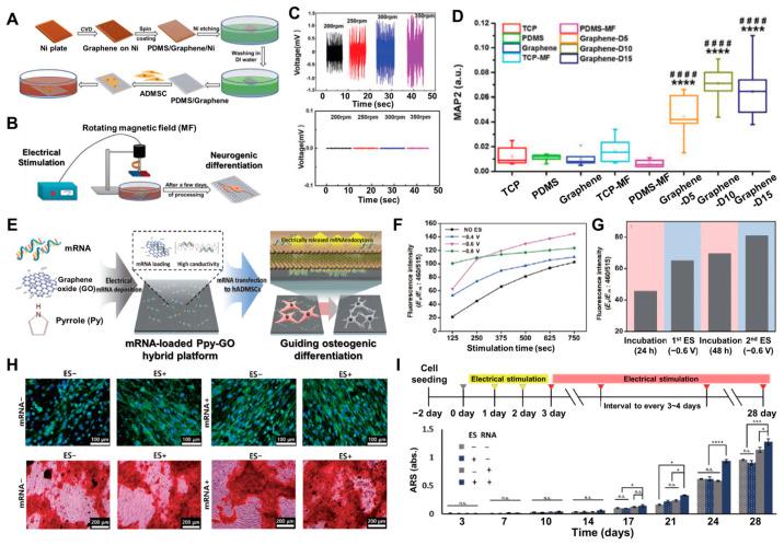 https://cdn.ncbi.nlm.nih.gov/pmc/blobs/bbd1/11352443/6c94b1a62cc6/biosensors-14-00407-g004.jpg