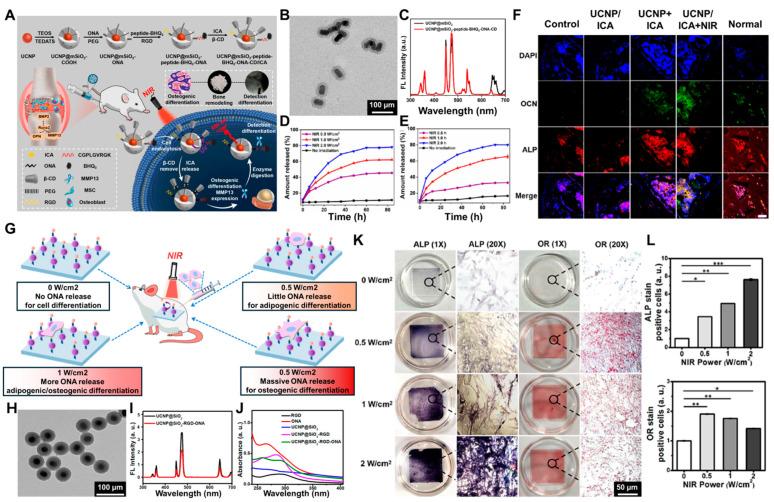 https://cdn.ncbi.nlm.nih.gov/pmc/blobs/bbd1/11352443/ecca51e460eb/biosensors-14-00407-g007.jpg