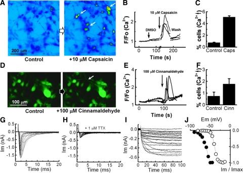 https://cdn.ncbi.nlm.nih.gov/pmc/blobs/bbd1/2735356/fa807af9db1a/z380090974550005.jpg
