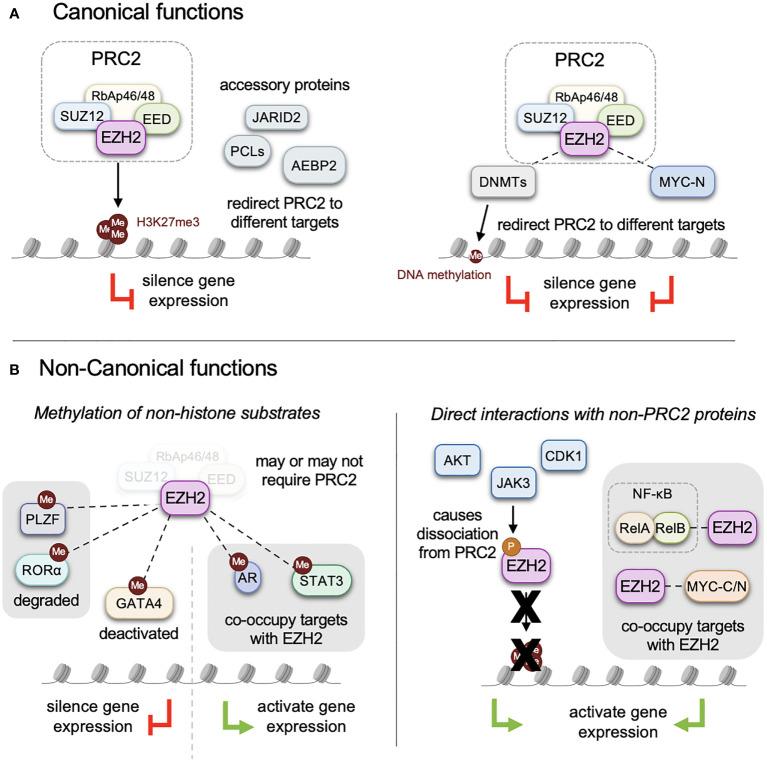 https://cdn.ncbi.nlm.nih.gov/pmc/blobs/bbd3/10473085/0cb494a64e4b/fonc-13-1233953-g001.jpg