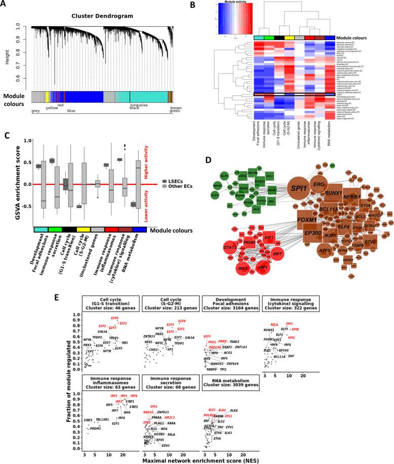 https://cdn.ncbi.nlm.nih.gov/pmc/blobs/bbd4/7809369/50f00236f80f/41419_2020_3356_Fig4_HTML.jpg