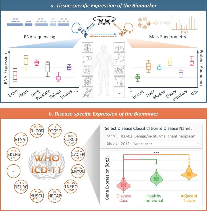 https://cdn.ncbi.nlm.nih.gov/pmc/blobs/bbd7/10767989/34ac335a9292/gkad862fig7.jpg