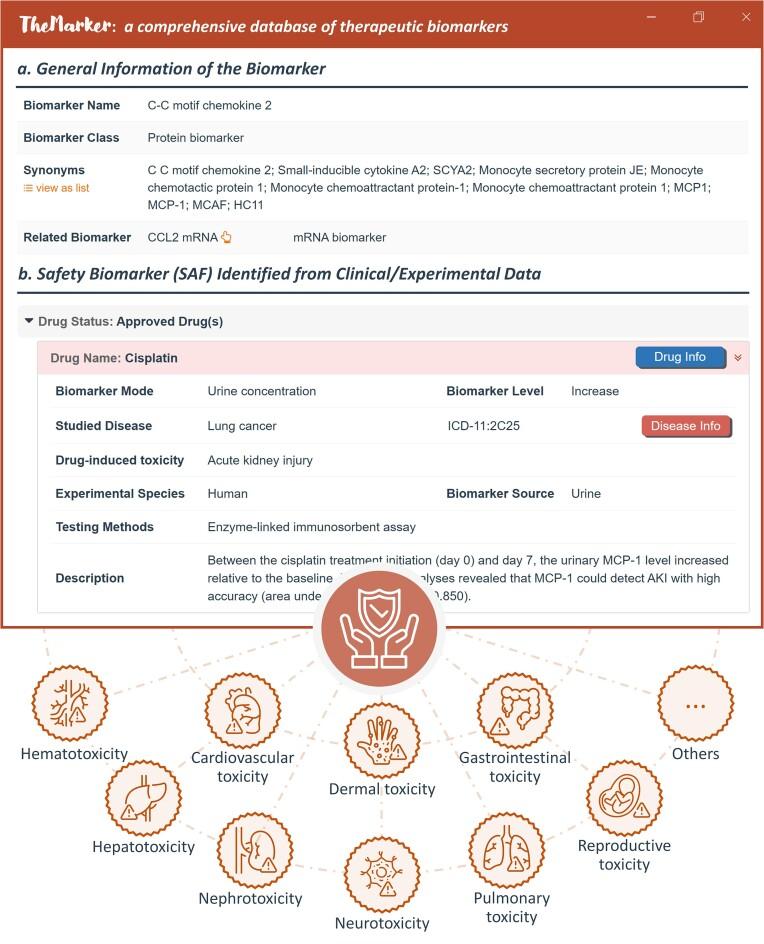 https://cdn.ncbi.nlm.nih.gov/pmc/blobs/bbd7/10767989/62f56d0605c9/gkad862fig3.jpg