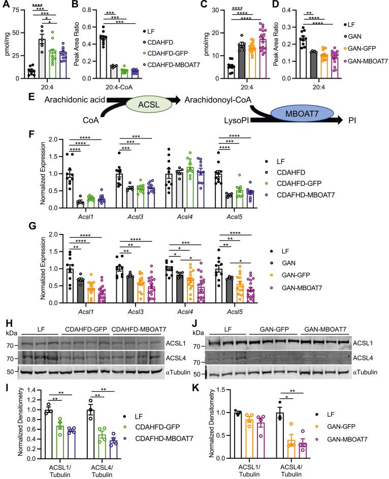 https://cdn.ncbi.nlm.nih.gov/pmc/blobs/bbd8/11307403/27c60b034103/gr7.jpg