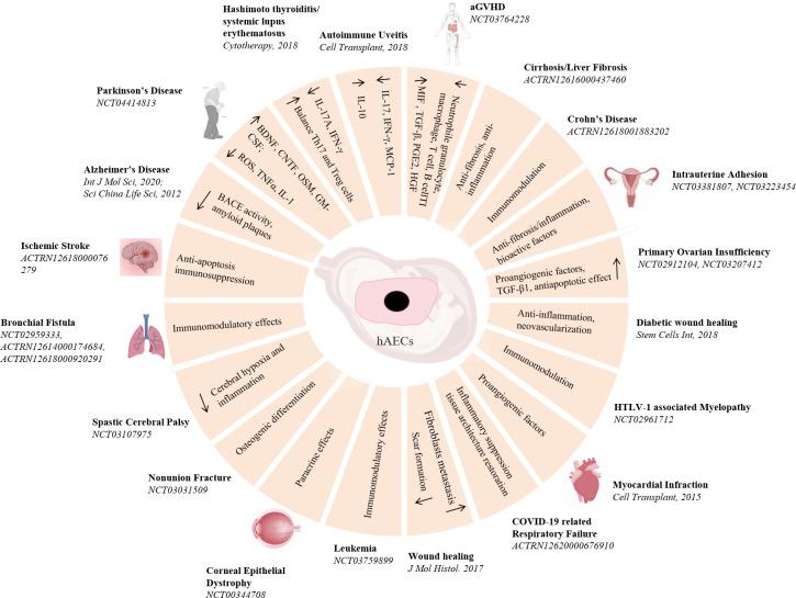https://cdn.ncbi.nlm.nih.gov/pmc/blobs/bbdb/11518714/9d36f6defdd0/fimmu-15-1466529-g003.jpg