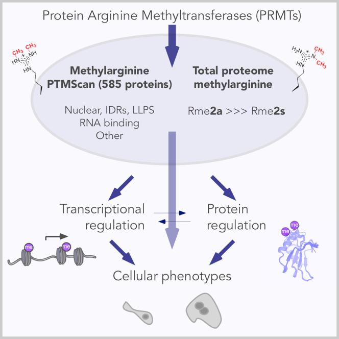 https://cdn.ncbi.nlm.nih.gov/pmc/blobs/bbdb/8417332/46dd2023186e/fx1.jpg