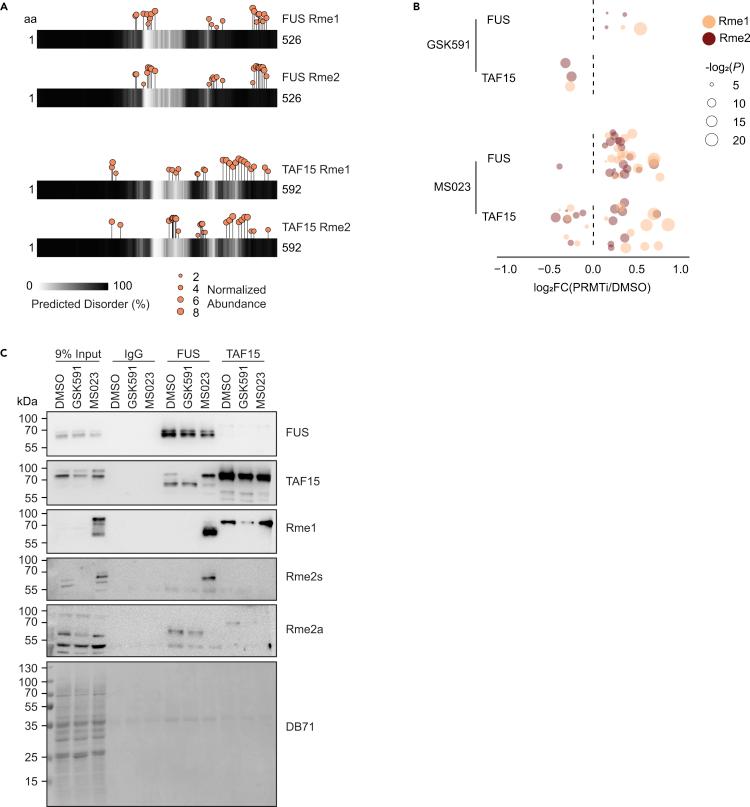 https://cdn.ncbi.nlm.nih.gov/pmc/blobs/bbdb/8417332/baff86d5daa5/gr8.jpg