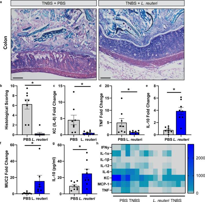 https://cdn.ncbi.nlm.nih.gov/pmc/blobs/bbdd/7814497/8b820f748c88/PHY2-9-e14719-g005.jpg