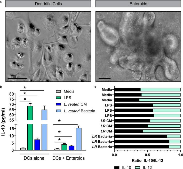 https://cdn.ncbi.nlm.nih.gov/pmc/blobs/bbdd/7814497/a448db0b423a/PHY2-9-e14719-g004.jpg