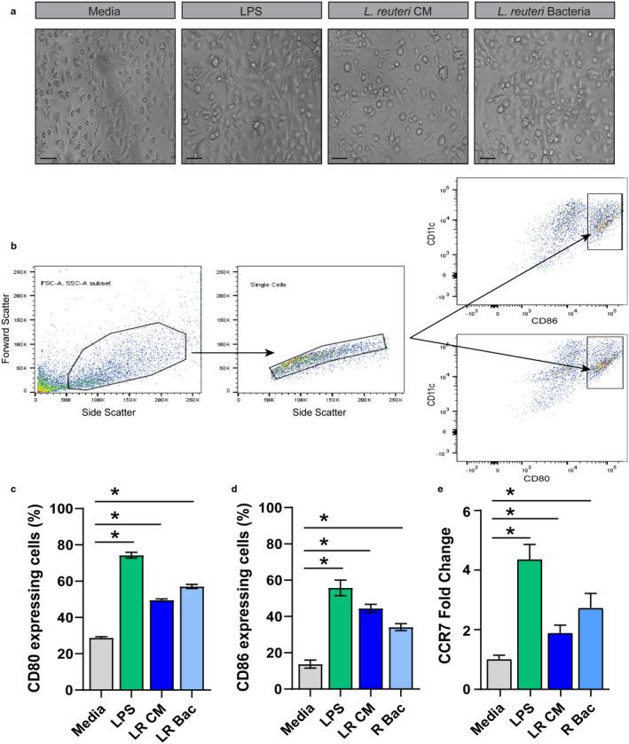 https://cdn.ncbi.nlm.nih.gov/pmc/blobs/bbdd/7814497/ce7e84d0ada6/PHY2-9-e14719-g002.jpg