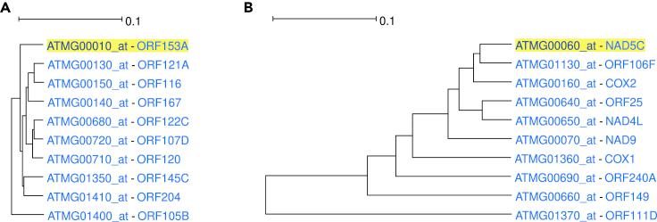 https://cdn.ncbi.nlm.nih.gov/pmc/blobs/bbdd/8334378/7e65b119d14e/gr6.jpg